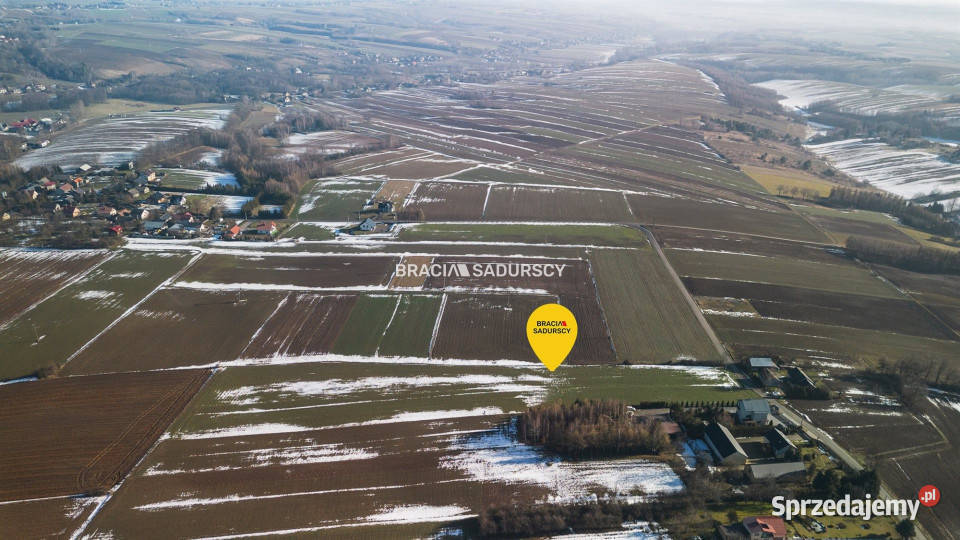 Grunt 15000m2 Gołyszyn