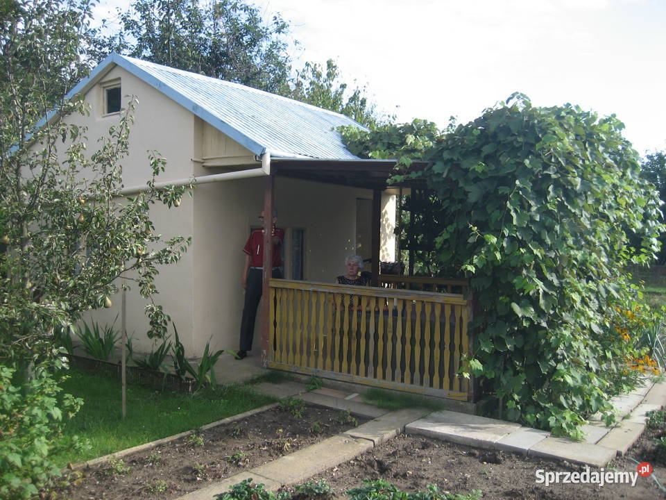 OKAZJA Ogródek działkowy Nysa sprzedam