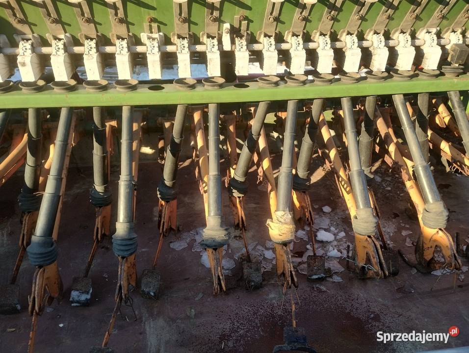 Siewnik amazone d7 25 metra świętokrzyskie Opatów