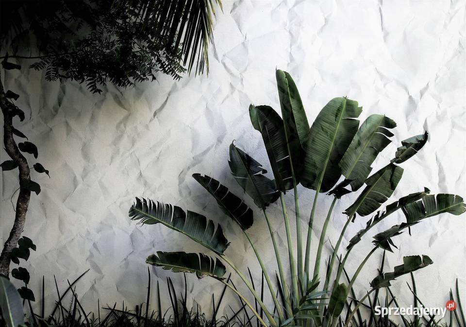 Tapeta fototapeta Liście kwiaty 12595VE Leszno