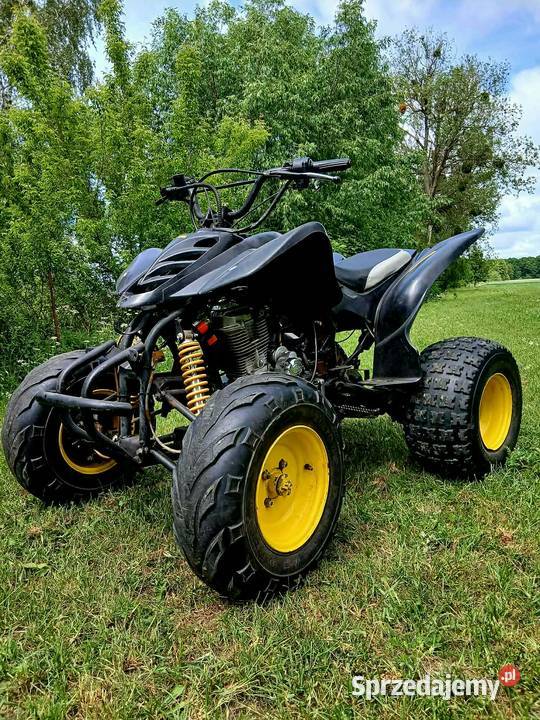 Quad 250 Rok produkcji 2019 sprzedam