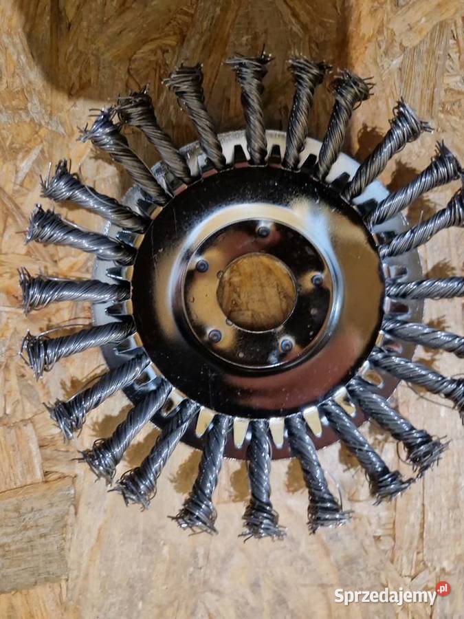 BLACK DRUCIAK TARCZA SZCZOTKA DRUCIANA DO KOSA Głogowa