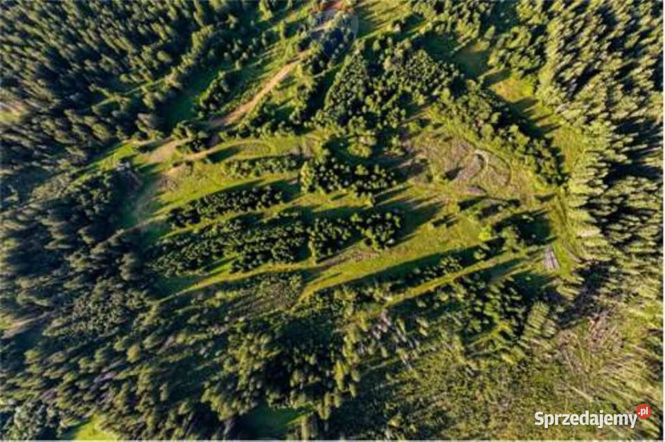 DZIAŁKI ROLNE SPRZEDAŻ DZIANISZDZIEDZICÓWKA Dzianisz