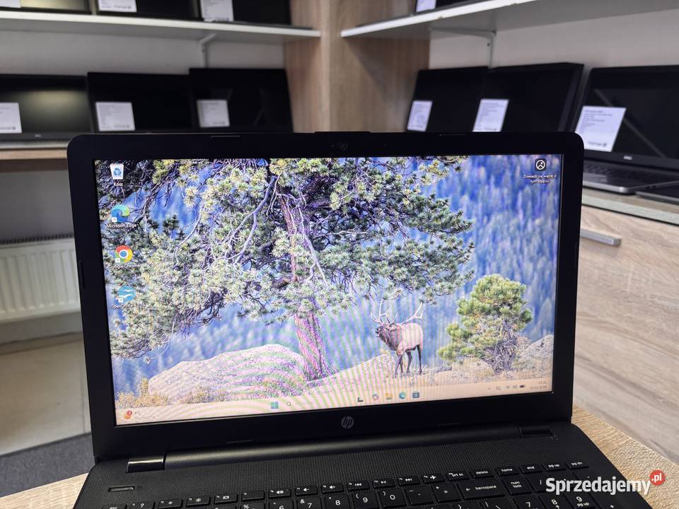 Laptop HP 250 g6 i35005u 8GB ram dysk SSD 100 ok Rzeszów