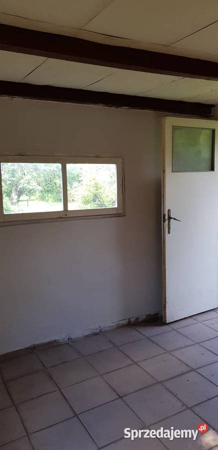 Super Działka Rekreacyjna ROD w centrum Wrocław