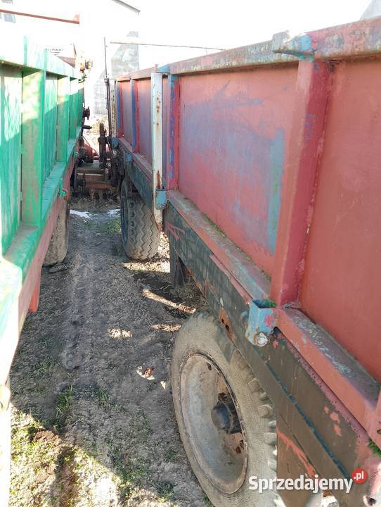 Rozrzutnik Mąkowarsko