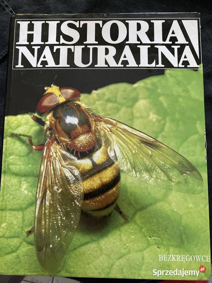 HISTORIA NATURALNA Bezkregowce biologia, ekologia Lublin