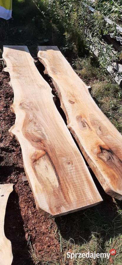 Wiąz deski bale brusy wiązu Rzeszów