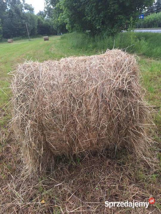 Sprzedam siano Księżomierz