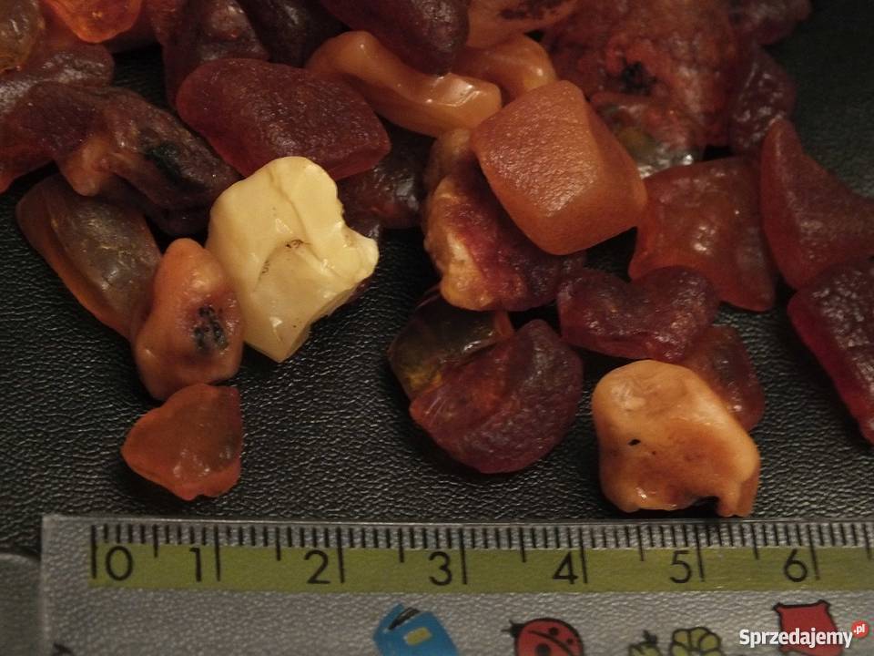 Bursztyn bałtycki Kąty Rybackie