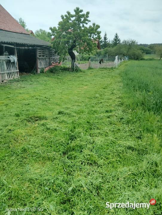 Koszenie kosą spalinową Gorzów Wielkopolski