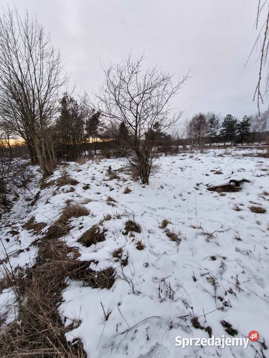 1000 m Działki Budowlanej Sprzedaż dolnośląskie
