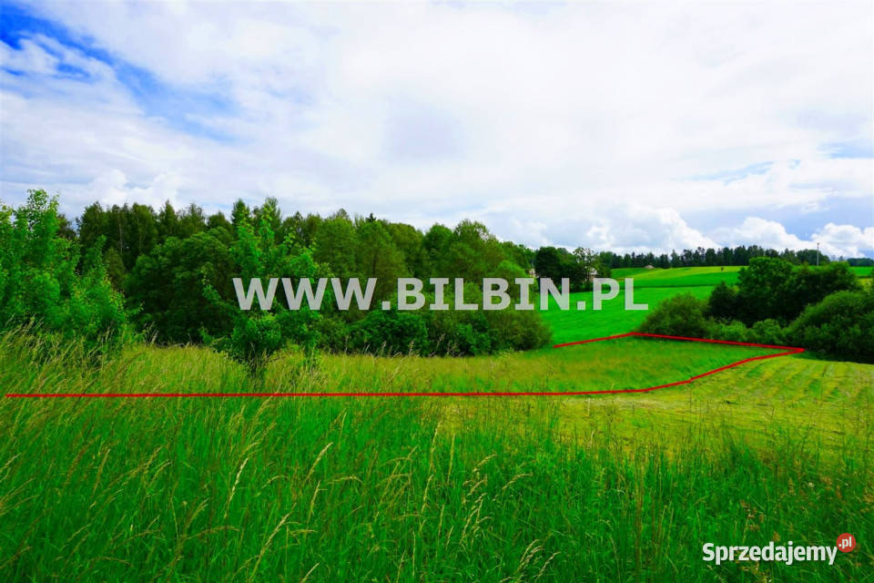 Działka Supienie 3728m telefon