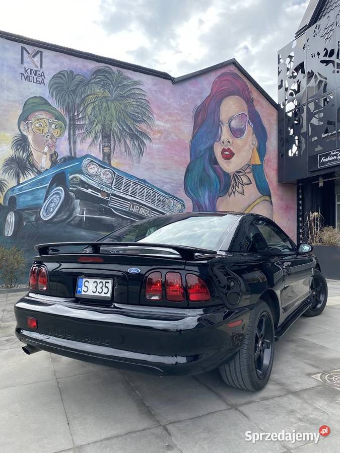 Ford Mustang SN95 manual Chomentów-Szczygieł