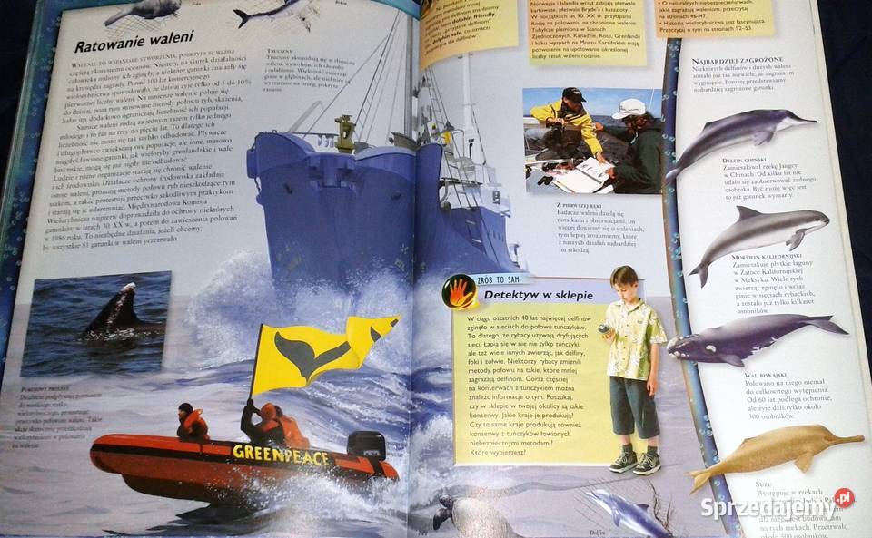 Walenie wieloryby delfiny i morświny L Beckelman Chełm