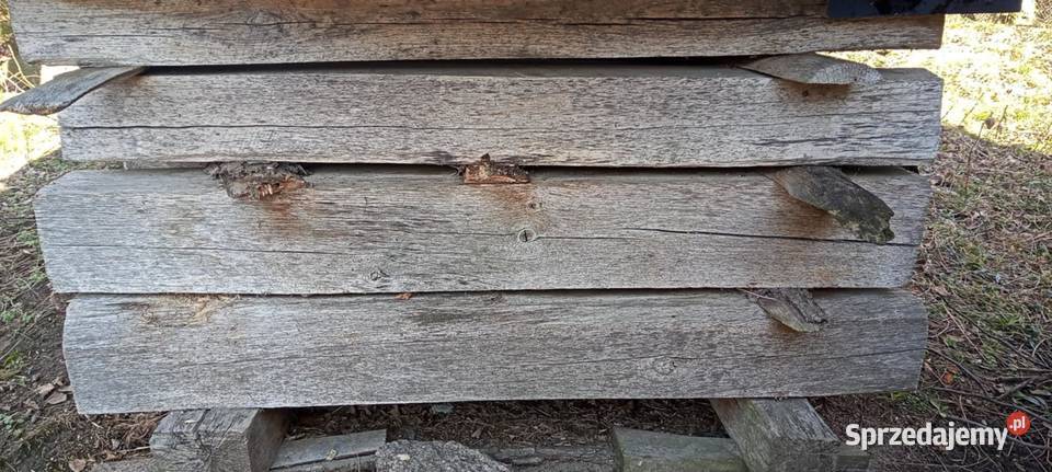 Dąb leżakowany Nowe Miasto Lubawskie