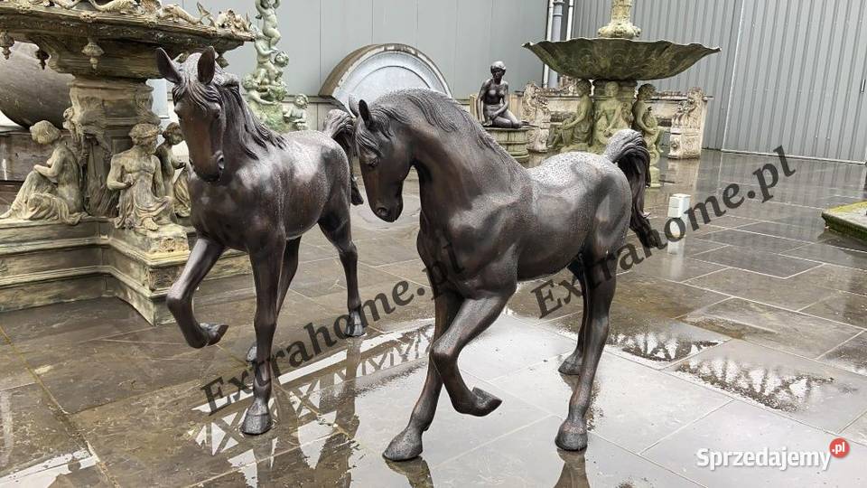 Koń z brązu rzeźba Figura konia z brązu H120 zachodniopomorskie Szczecin