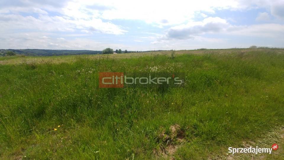 Sprzedaż gruntu Straszydle