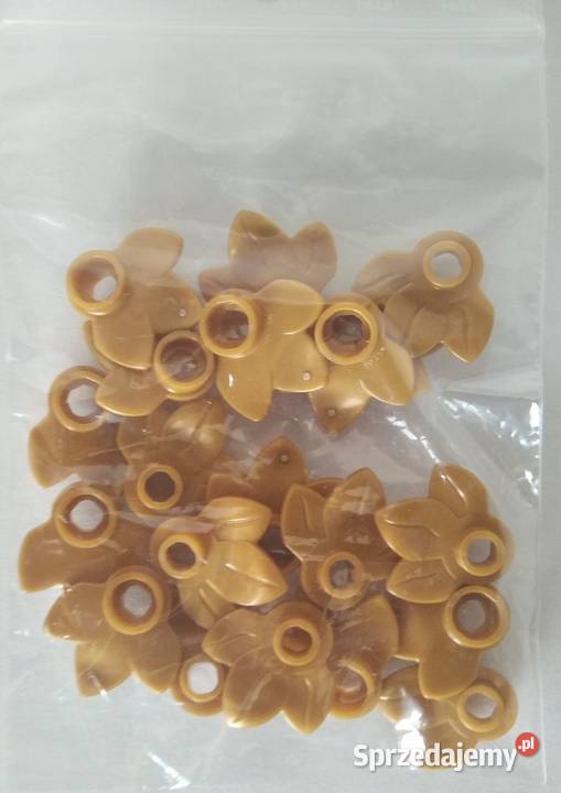 Lego Gold Plant pakiet 20 Dla Dziecka małopolskie Kłaj