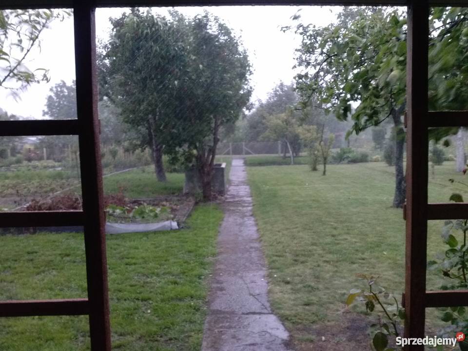 ogródek działkowy Klecińska ROD Radość 350m2 dolnośląskie Wrocław