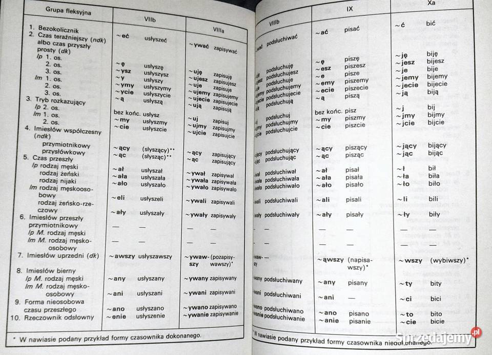 Leksykon ucznia Język polski Ewa Romkowska lubelskie Chełm