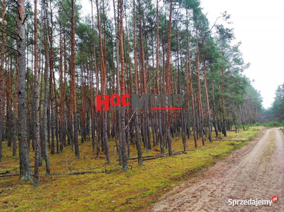 Rekreacyjne działki leśne w Popowie Letnisku Huta Podgórna sprzedam