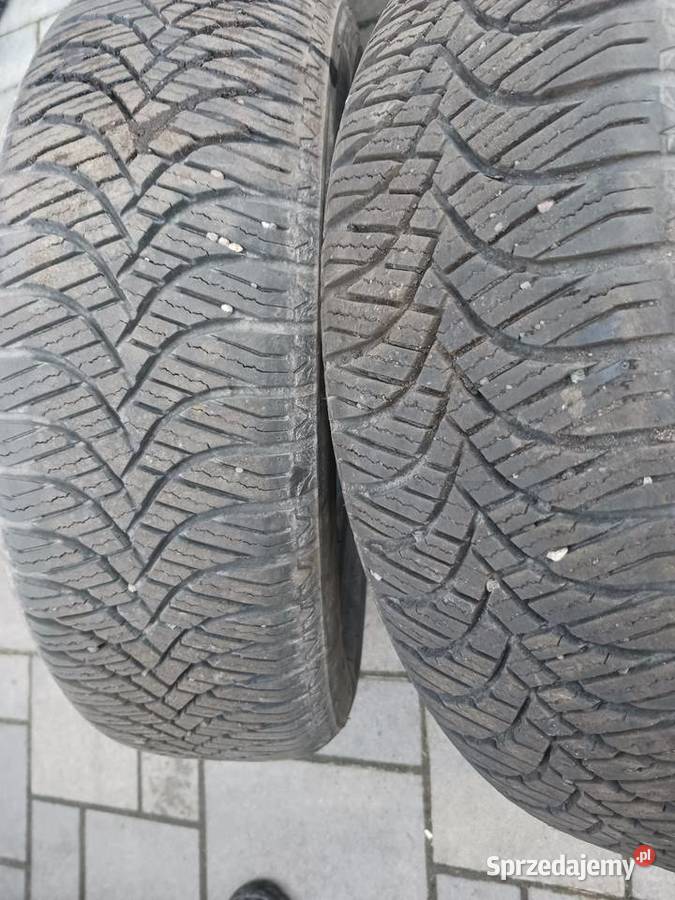 Opony WIELOSEZONOWE 17565 R14 TRAZANO Elite Z401 Opony Łochów