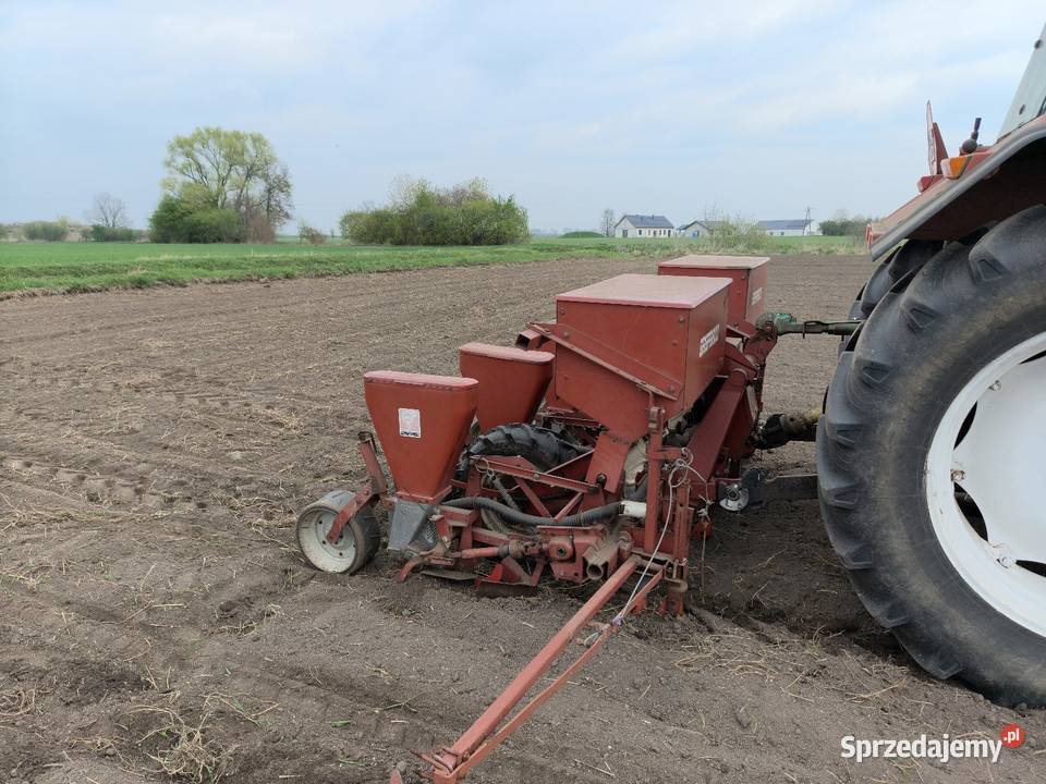 Siewnik do kukurydzy Szczepankowice