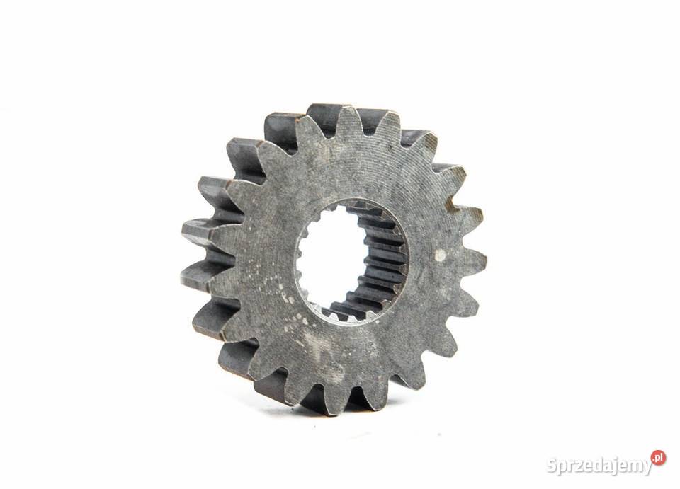Zębatka 65x25 mm B13 19T 18T