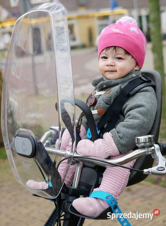 Thule Yepp Nexxt mini przedni fotelik rowerowy Gogolin