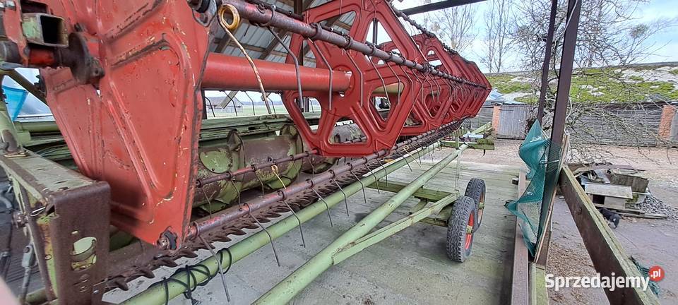 Claas commandor 114cs z przystawka do kukurydzy Jagodniki