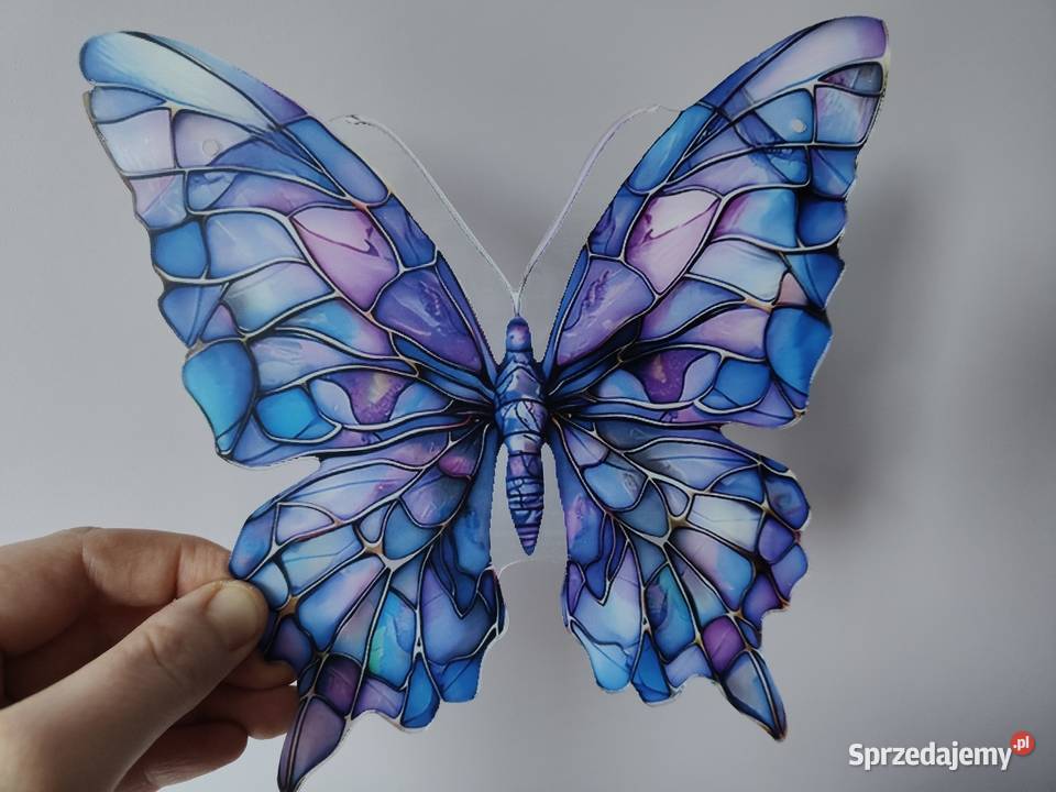 Motyl motylek nowy witraż witrażyk dekoracja Witraże Płock
