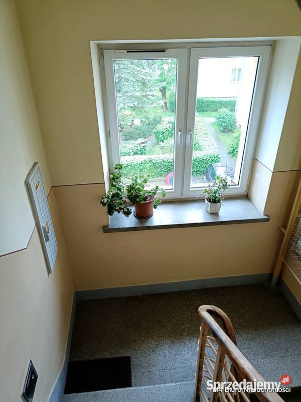 ŁADNE MIESZKANIE W KROŚNIE NA PARTERZE podkarpackie Krosno