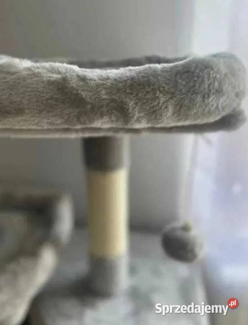 STABILNY jasnoszary drapak kota pupila NOWY Zwierzęta mazowieckie