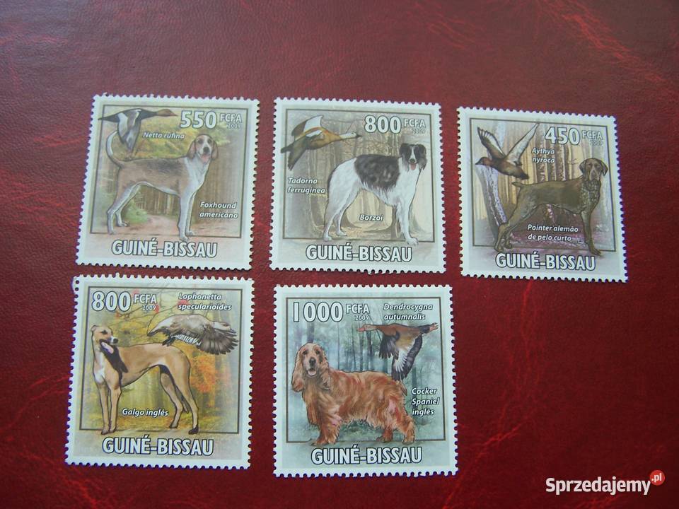 Gwinea Bissau 2009 MNH Psy Myśliwskie Tychy