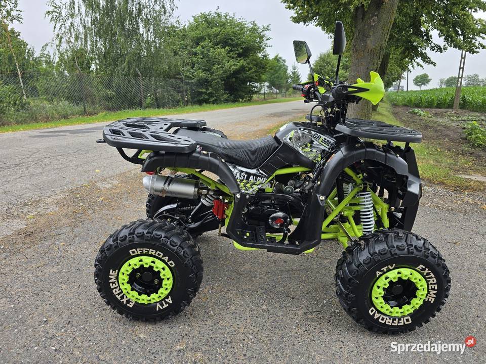 Quad Apollo Grizzly 125cc 11 z Wstecznym Stan Rok produkcji 2021 Kruszwica