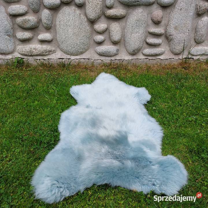 Skóra Owcza Kolor Miętowy Naturalna Skóry Szaflary