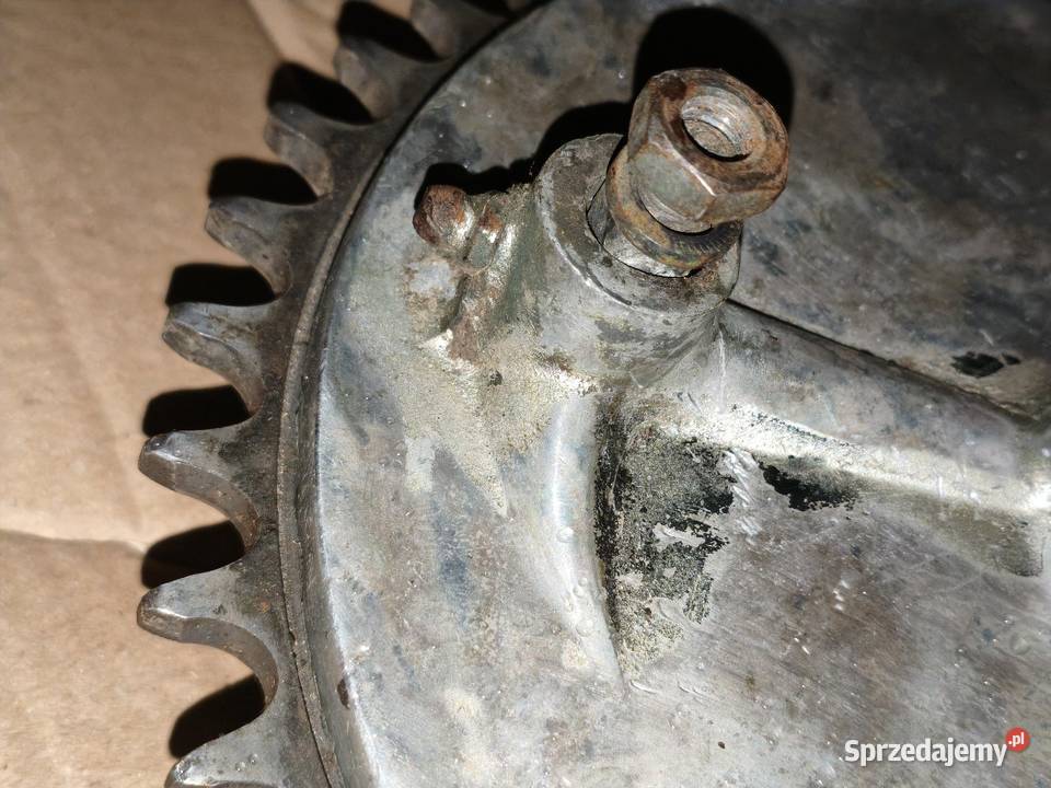 Tarcza kotwiczna zębatka tylna IŻ49 Leszno