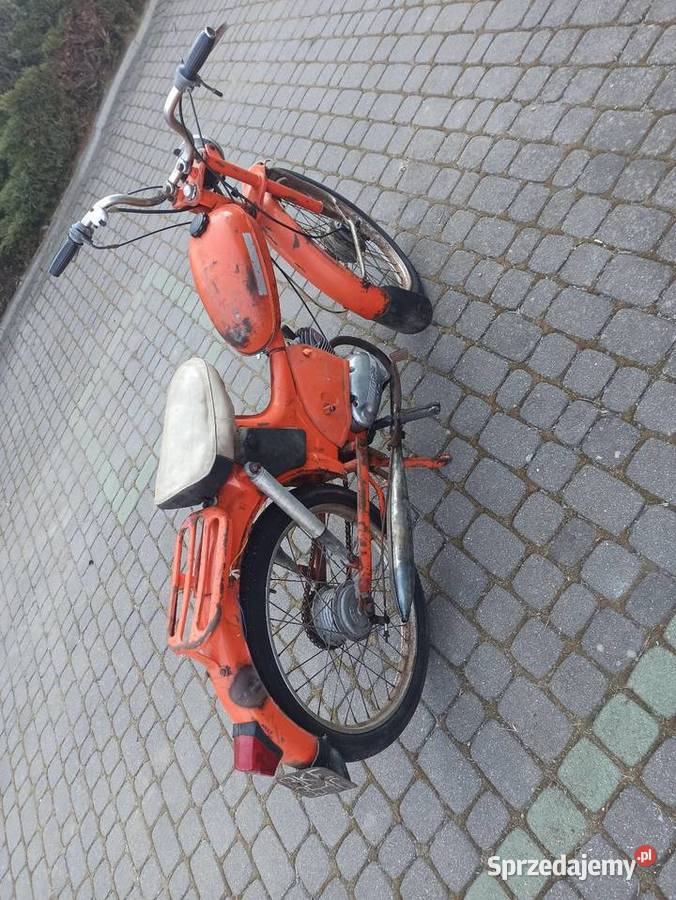 Komar rozebrany dowód pomarańczowy