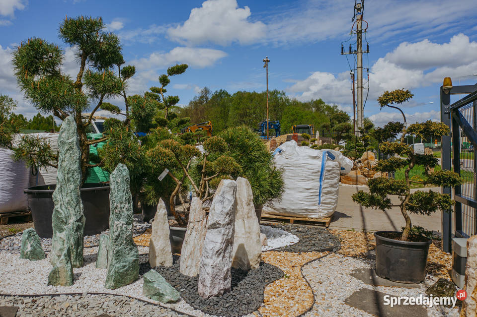 Grys granitowy DALMATINO Promocja kamień Kielce