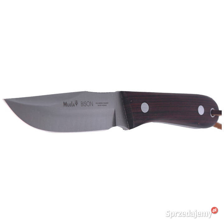 Nóż Muela Bison9NL Palisander Wood Satin Warszawa