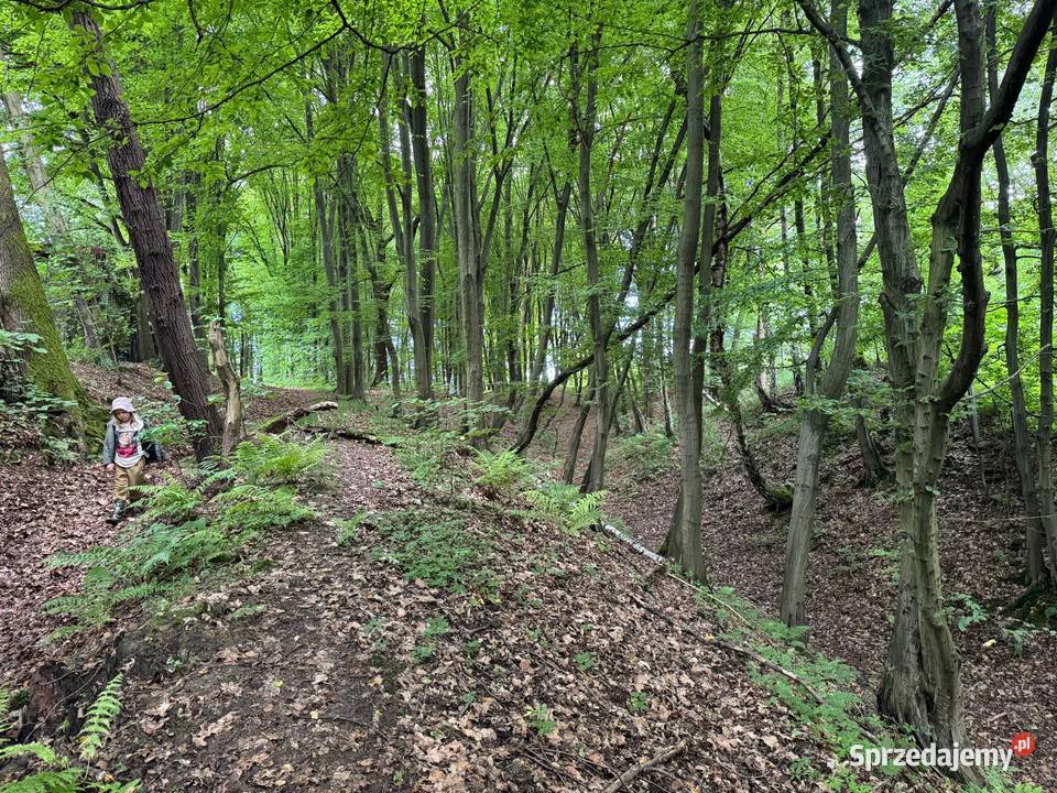 działka budowlana obok jeziora Żywiec rekreacyjna