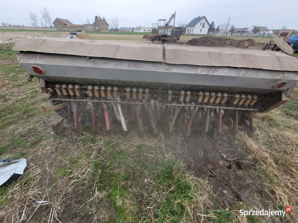 Siewnik poznaniak Krotoszyn