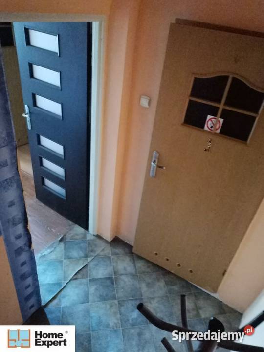 2pok 42met Świstackiego PIWNICA Wrocław Sprzedaż Sprzedaż