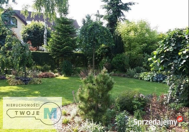 Dom sprzedam Daleszyce 76m2 804m2