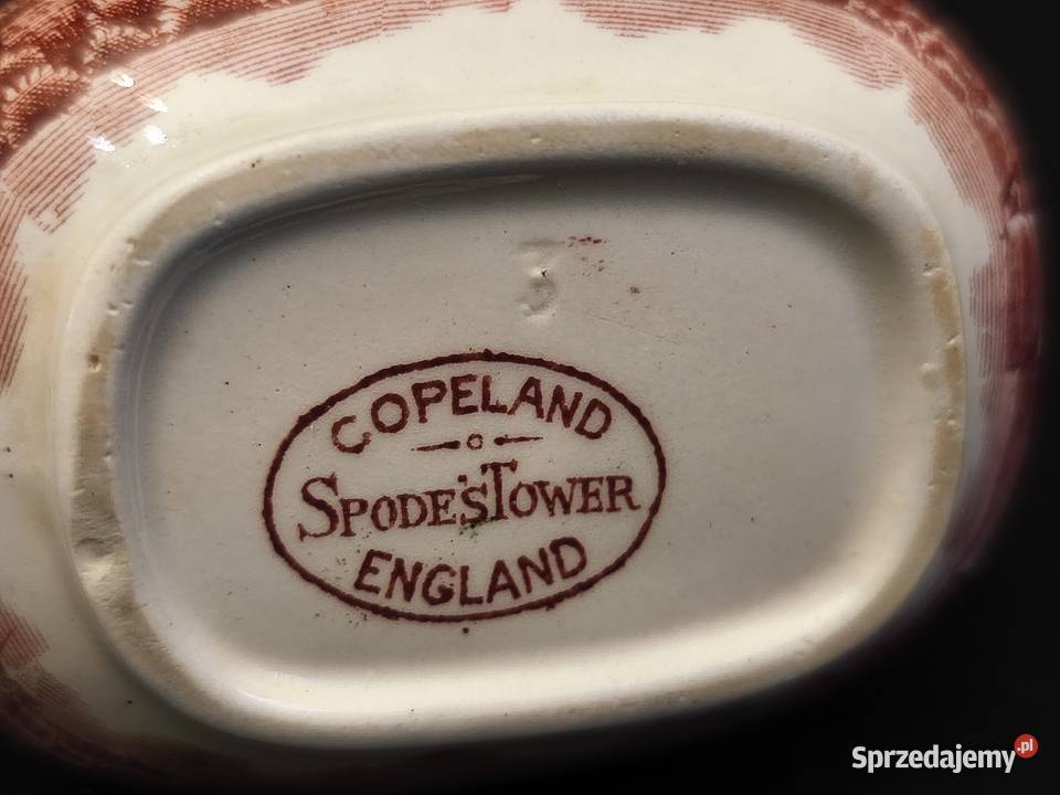 Mlecznik angielski Spodes Tower Chełm