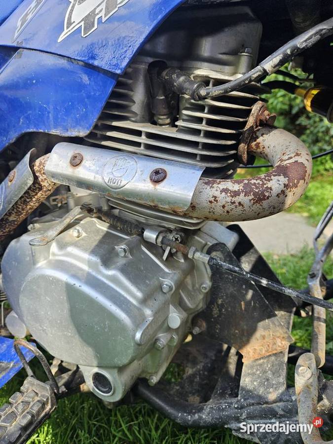 Bashan 200 manual Brzostek