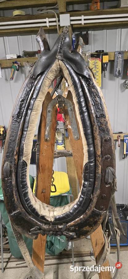 Chomonto skórzane Dla koni łódzkie Pajęczno sprzedam