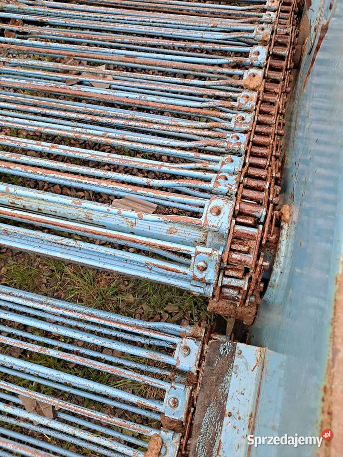 Kopaczka elewatorowa nowa nieuszkodzony Nowa Słupia sprzedam