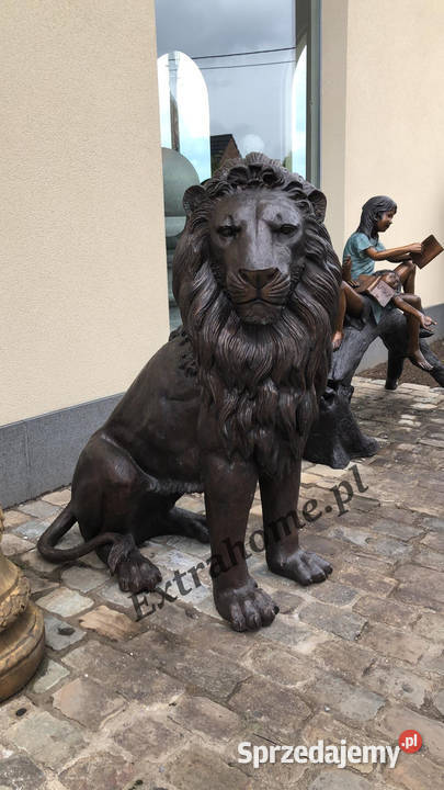 Król Lew Lew z brązu 145 figura z brązu Wrocław